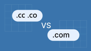 Guide to Choosing Between .com vs .co Domains