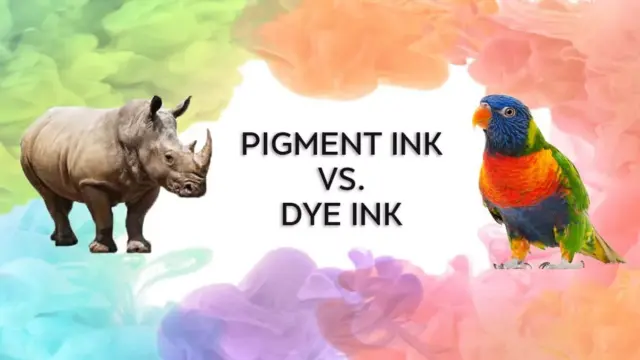 Dye Ink vs Pigment Ink: Which One is Right for Your Prints?