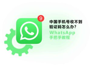 没有国外手机号怎么注册WhatsApp